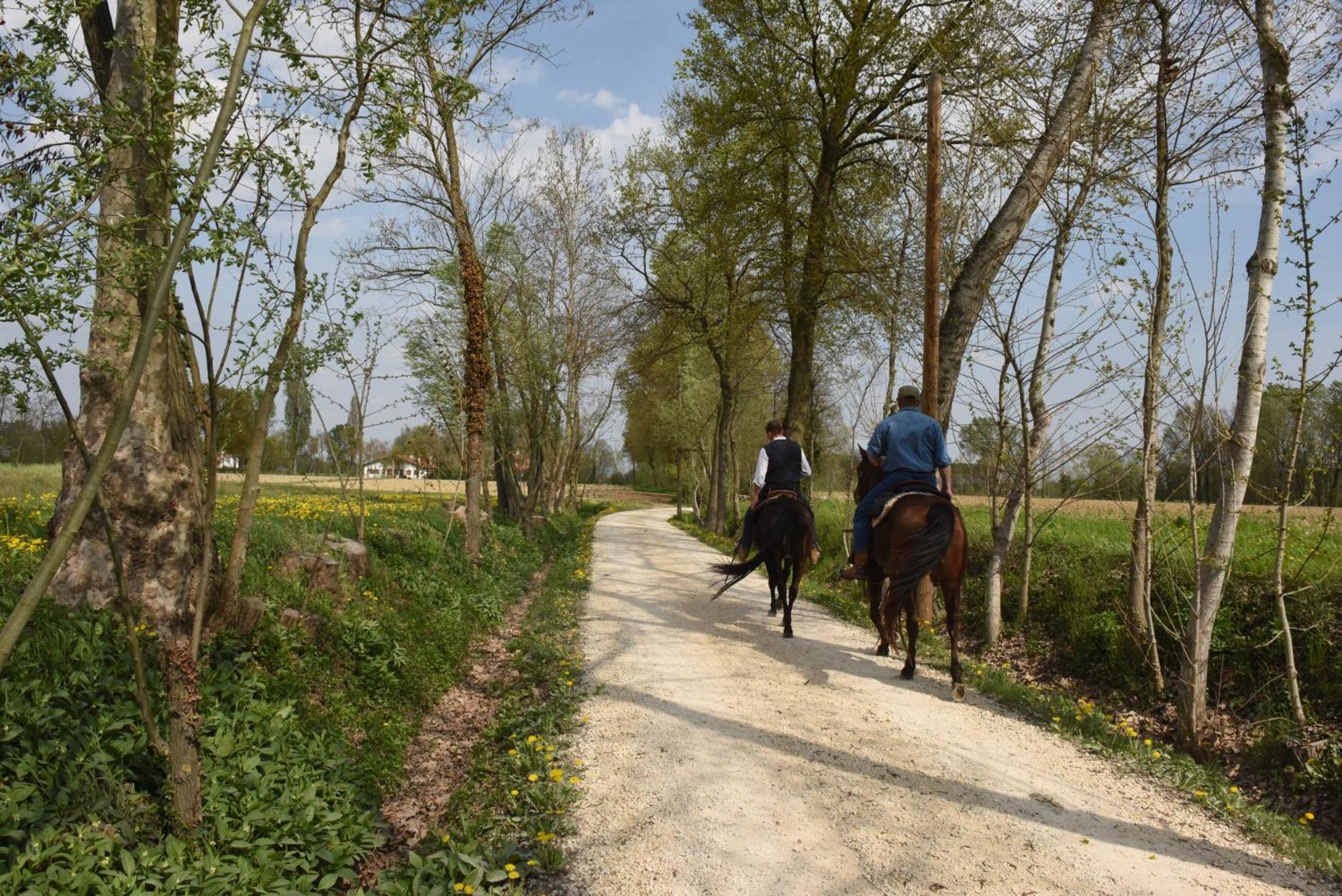 B&B Il Sentiero Noale Buitenkant foto